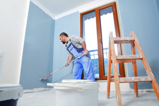 Best Basement Mold Removal  in Alpine, UT