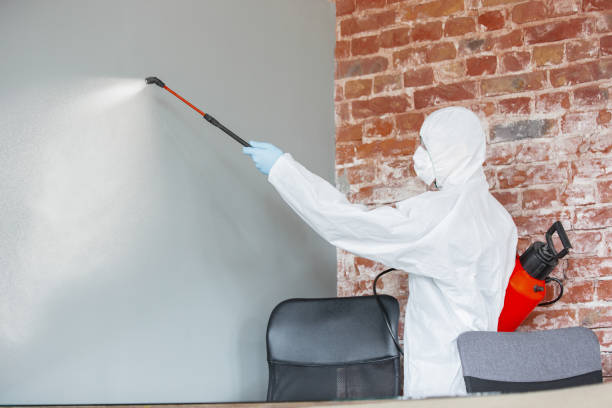Best Emergency Mold Remediation  in Alpine, UT
