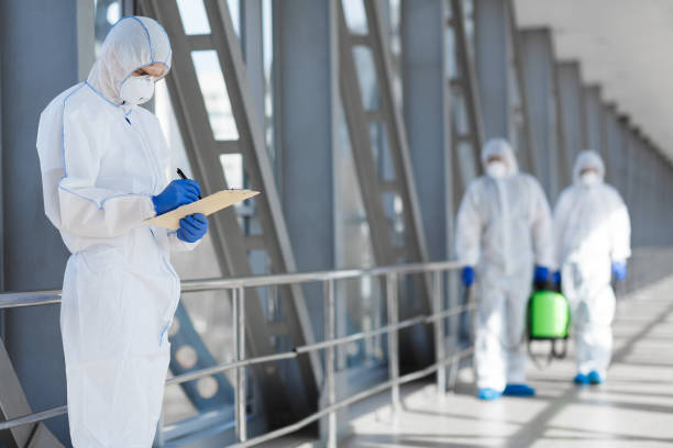 Best Water Damage & Mold Remediation  in Alpine, UT