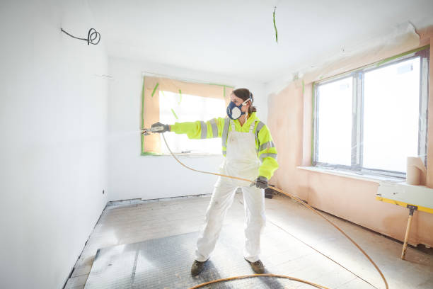 Best Mold Documentation for Insurance Claims  in Alpine, UT