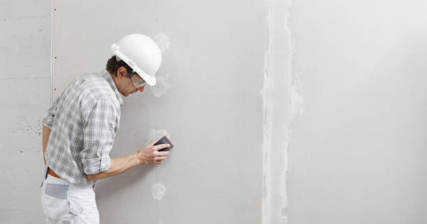 Best Commercial Mold Inspection  in Alpine, UT