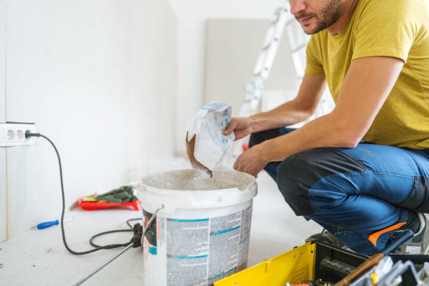 Best Mold Damage Restoration  in Alpine, UT