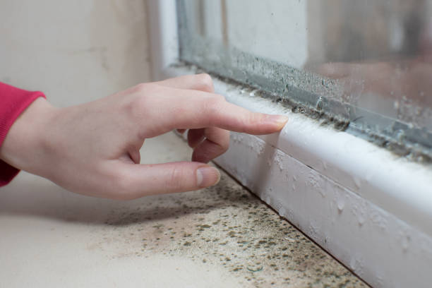 Best Indoor Air Quality Assessment  in Alpine, UT