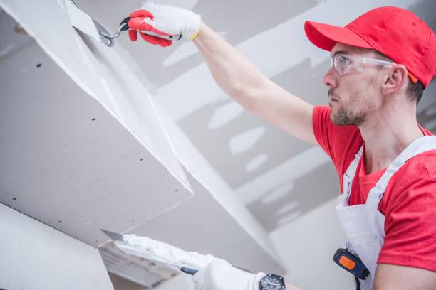 Best Crawl Space Mold Remediation  in Alpine, UT